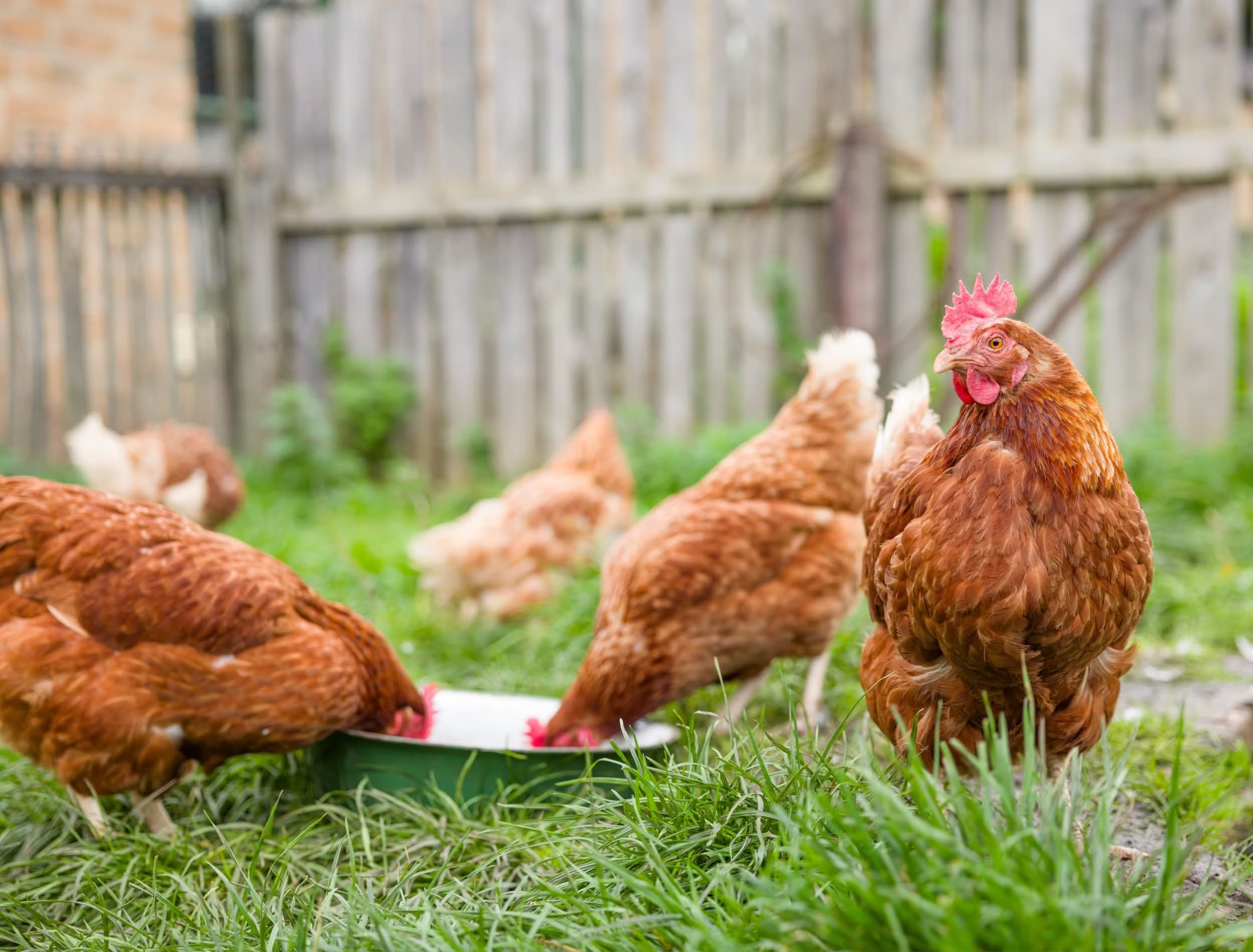 Sfeerbeeld Van den Berghe